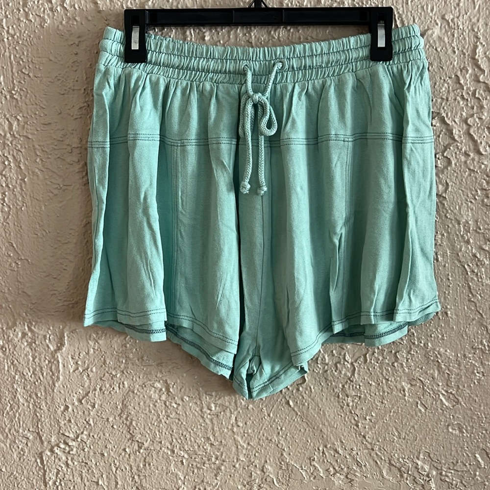 ⭐️ l*space Day Tripper Short in Pool
